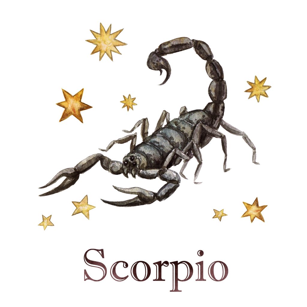 Zodiac sign - Scorpio. Watercolor Illustration.